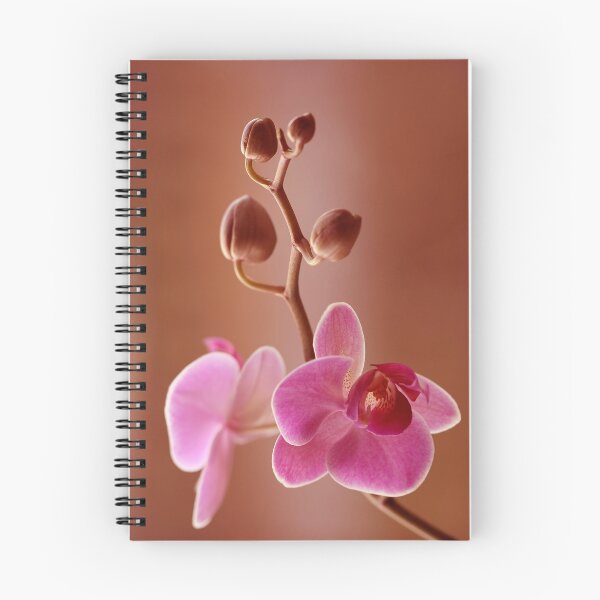 Item preview, Orchidea flowers designed and sold by Catrinann.