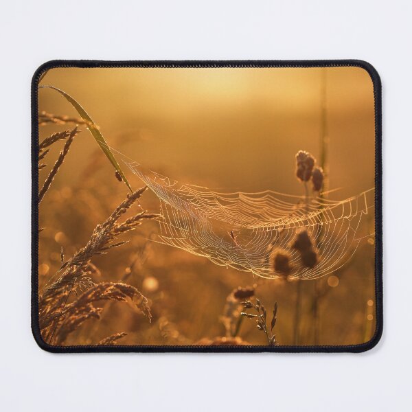 Item preview, Foggy morning designed and sold by Catrinann.