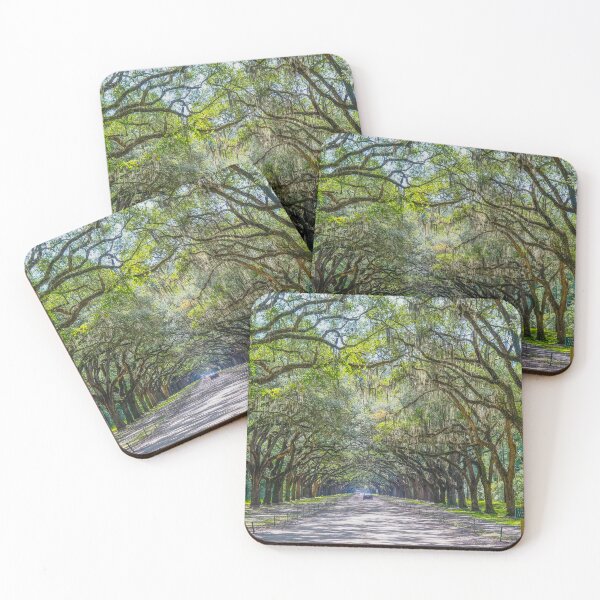 Item preview, Road Into Wormsloe Plantation designed and sold by dbvirago.