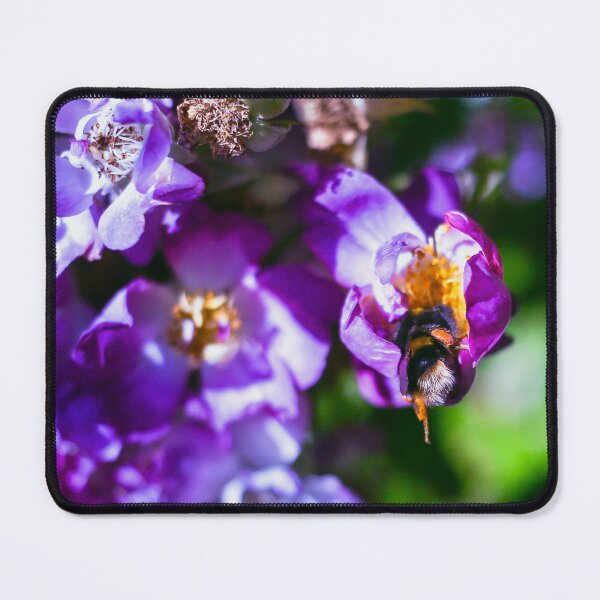 Item preview, Looking - A View designed and sold by Carl Gaynor.