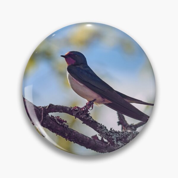 Item preview, Barn swallow in pastel colors designed and sold by Jouko Lehto Photography.