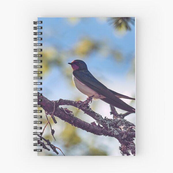 Item preview, Barn swallow in pastel colors designed and sold by Jouko Lehto Photography.