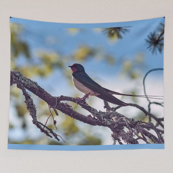 Item preview, Barn swallow in pastel colors designed and sold by Jouko Lehto Photography.