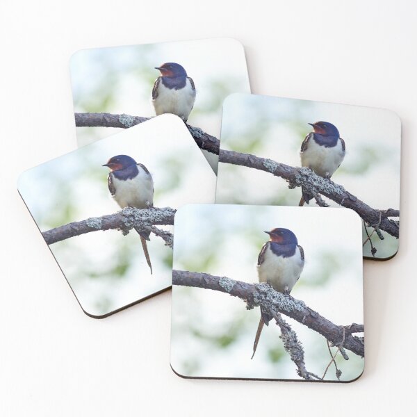 Item preview, Barn swallow enjoying the sun designed and sold by Jouko Lehto Photography.