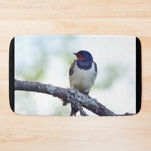 Item preview, Barn swallow enjoying the sun designed and sold by Jouko Lehto Photography.