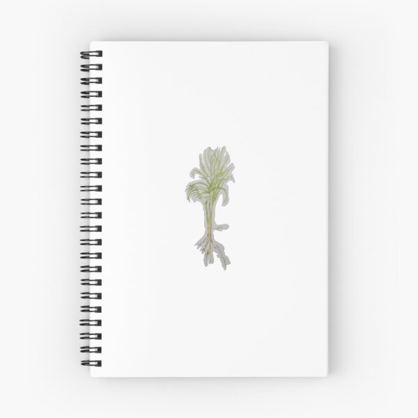 Item preview, Watercolour palm plant with roots designed and sold by Mideyes.