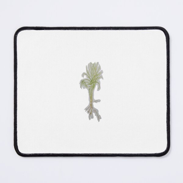 Item preview, Watercolour palm plant with roots designed and sold by Mideyes.