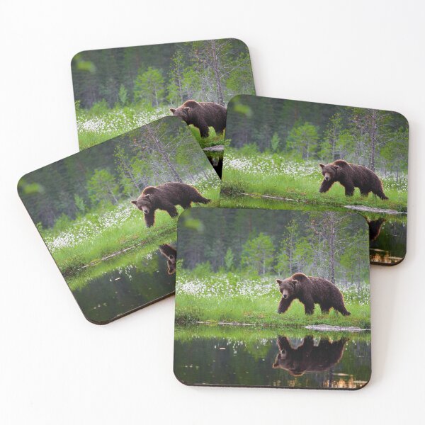 Item preview, The pose  after sunset. Brown bear designed and sold by Jouko Lehto Photography.