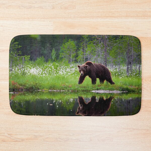 Item preview, The pose  after sunset. Brown bear designed and sold by Jouko Lehto Photography.