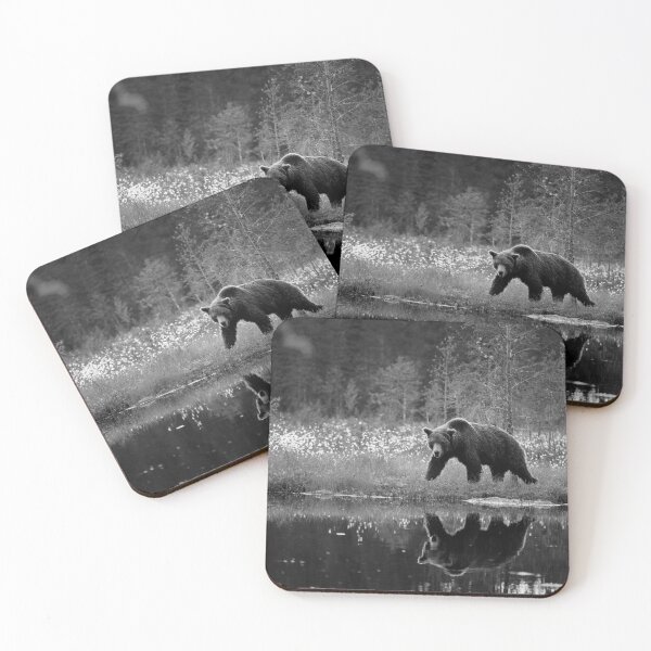 Item preview, The pose  after sunset. Brown bear bw designed and sold by Jouko Lehto Photography.