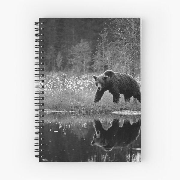 Item preview, The pose  after sunset. Brown bear bw designed and sold by Jouko Lehto Photography.