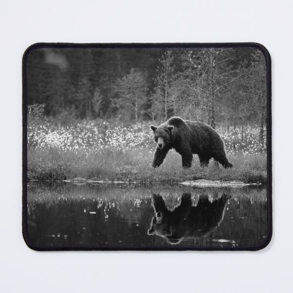Item preview, The pose  after sunset. Brown bear bw designed and sold by Jouko Lehto Photography.
