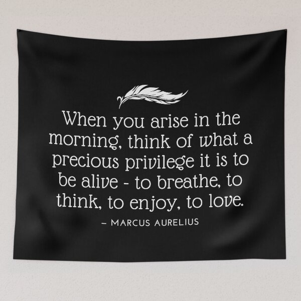Item preview, Marcus Aurelius Arise designed and sold by NRealm.
