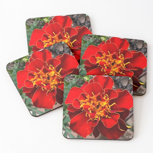 Item preview, Red Marigold  designed and sold by RPMouton.