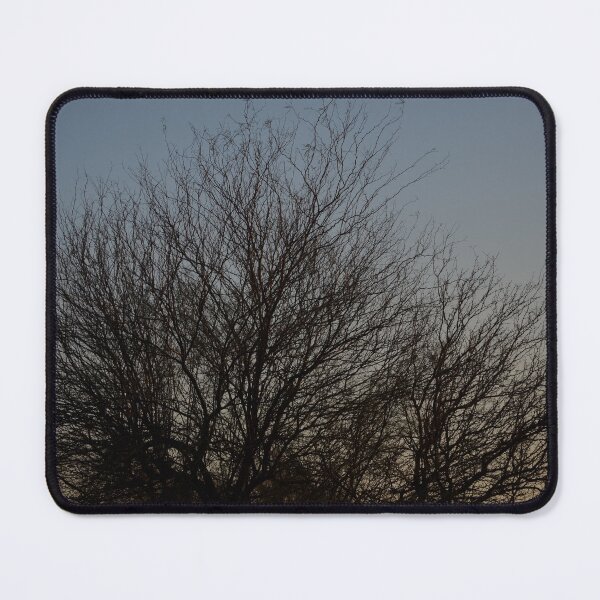 Item preview, Tree Silhouette designed and sold by teacup21.