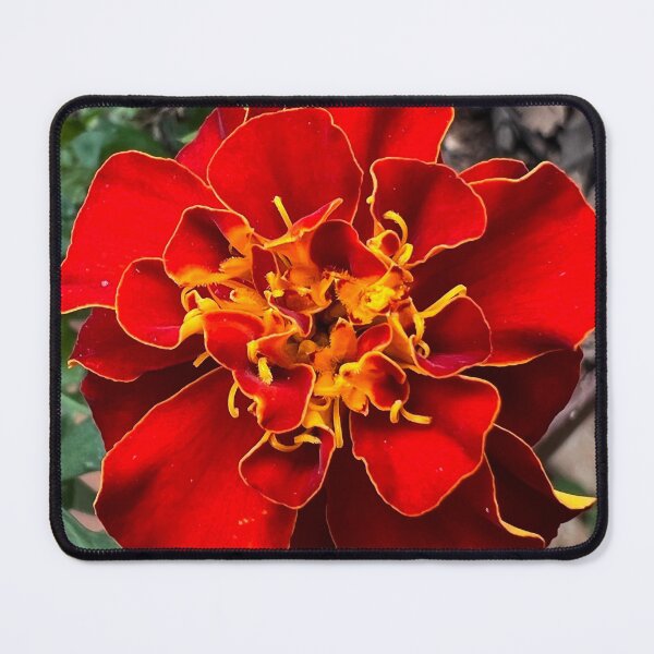 Item preview, Red Marigold  designed and sold by RPMouton.