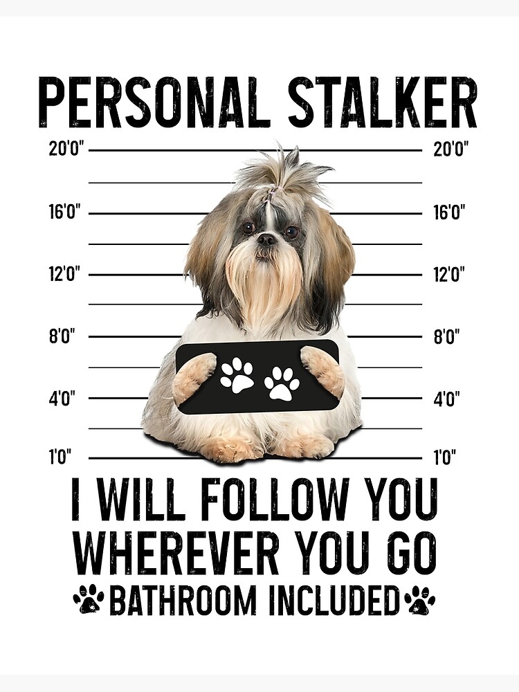 Personal Stalker Dog, Shih Tzu, Funny Shih Tzu Puppies memes, Shih Tzu  Owner Gifts, Poodle Puppy, Personal Stalker I will Follow You Wherever You  Go Bathroom Included Poster for Sale by PRINTED .