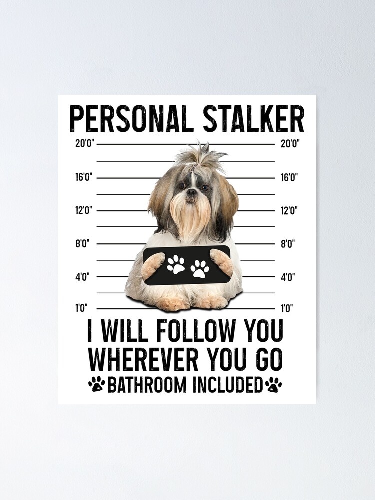 Personal Stalker Dog, Shih Tzu, Funny Shih Tzu Puppies memes, Shih Tzu  Owner Gifts, Poodle Puppy, Personal Stalker I will Follow You Wherever You  Go Bathroom Included Poster for Sale by PRINTED .