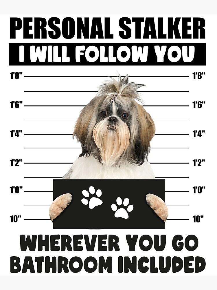 Shih Tzu Sailor Boat Captain Shih Tzu Dog 137 | Poster