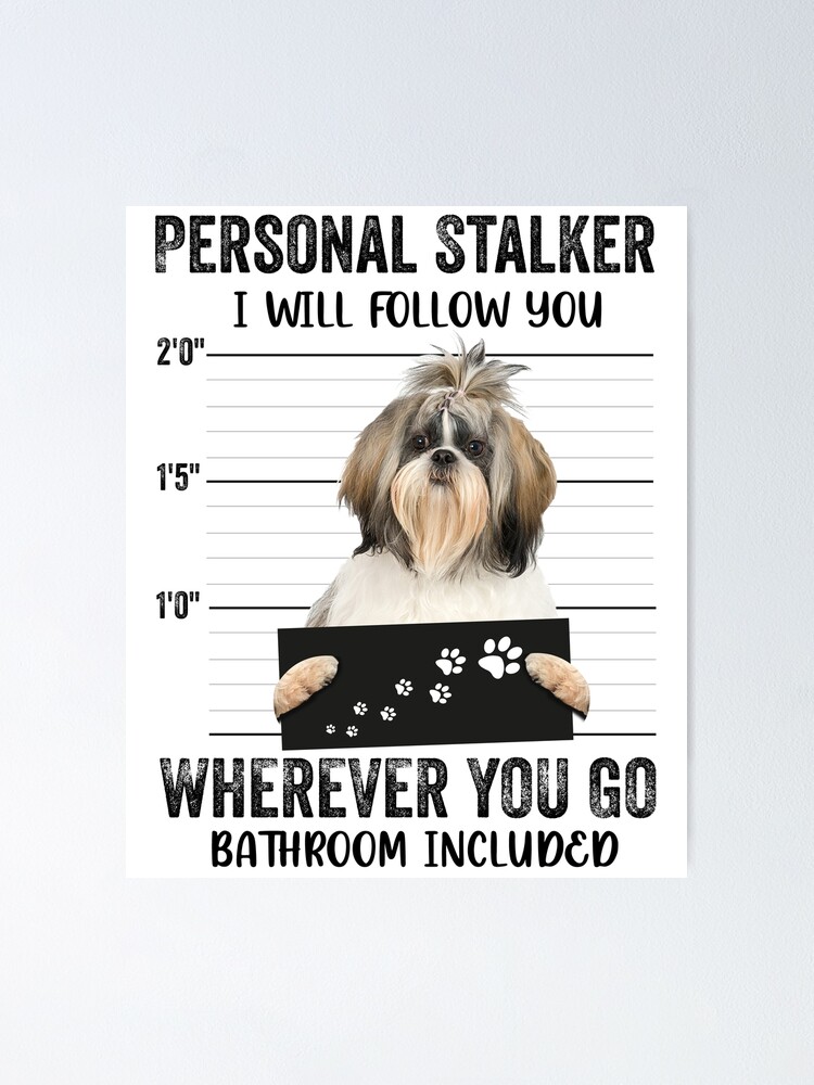 Personal Stalker Dog, Shih Tzu, Funny Shih Tzu Puppies memes, Shih Tzu  Owner Gifts, Poodle Puppy, Personal Stalker I will Follow You Wherever You  Go Bathroom Included Poster for Sale by PRINTED .