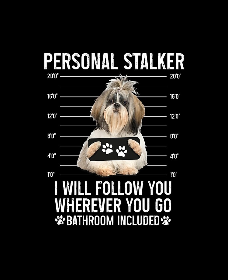 Personal Stalker Dog, Shih Tzu, Funny Shih Tzu Puppies memes, Shih Tzu  Owner Gifts, Poodle Puppy, Personal Stalker I will Follow You Wherever You  Go Bathroom Included Greeting Card for Sale by