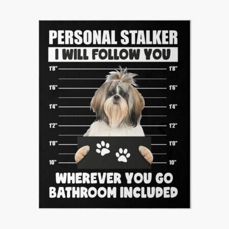 Personal Stalker Dog, Shih Tzu, Funny Shih Tzu Puppies memes, Shih Tzu  Owner Gifts, Poodle Puppy, Personal Stalker I will Follow You Wherever You  Go Bathroom Included Poster for Sale by PRINTED .