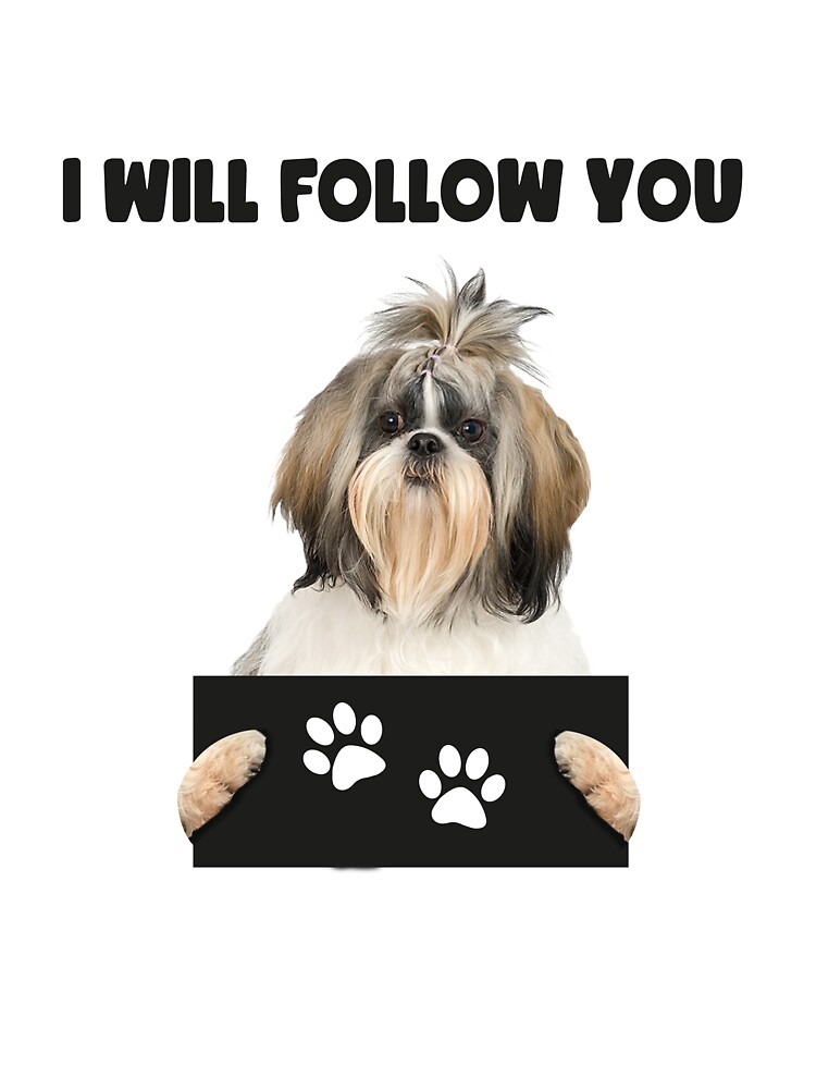 Funny Shih Tzu Memes vlr.eng.br