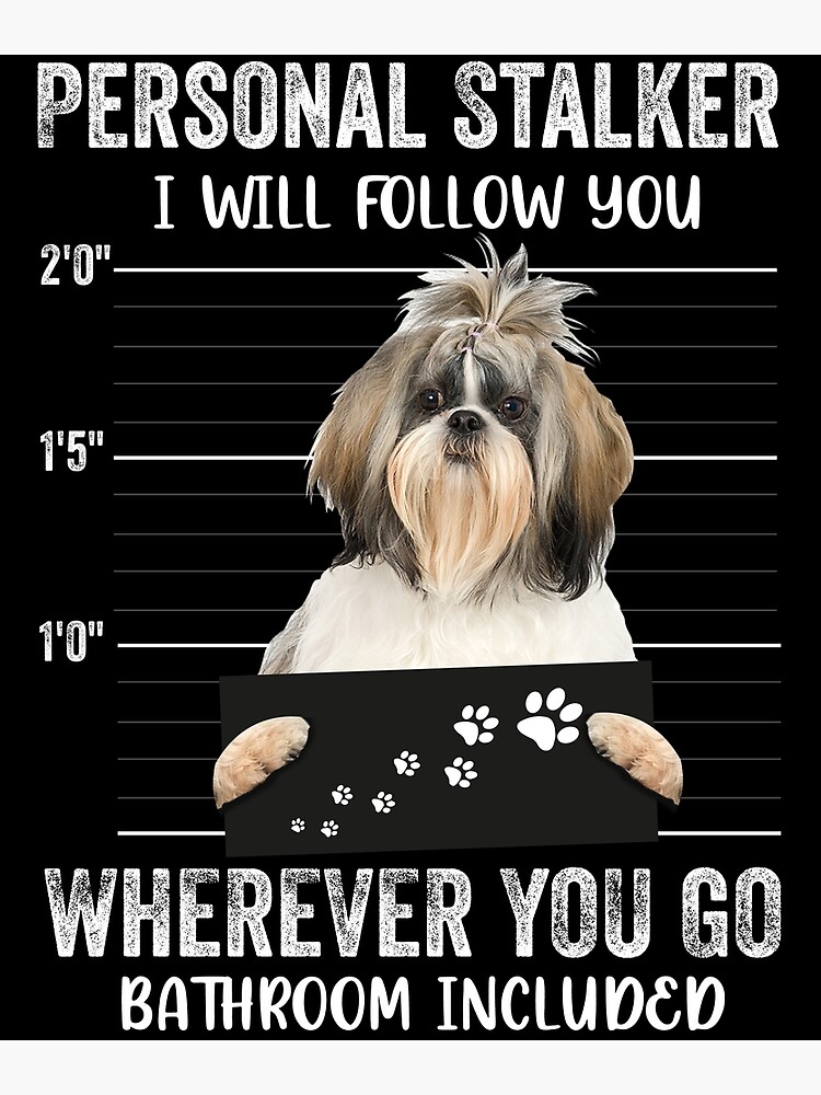 Personal Stalker Dog, Shih Tzu, Funny Shih Tzu Puppies memes, Shih Tzu  Owner Gifts, Poodle Puppy, Personal Stalker I will Follow You Wherever You  Go Bathroom Included Poster for Sale by PRINTED .