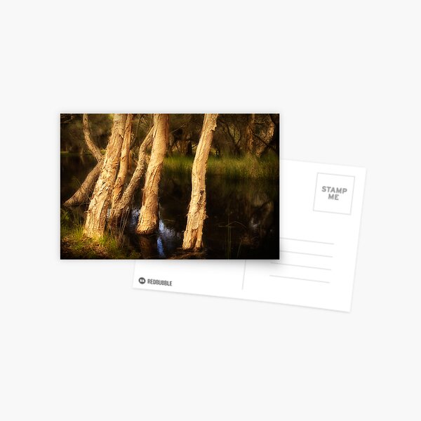 Item preview, Melaleuca Magic designed and sold by Louise Cooke.