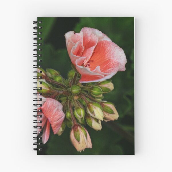 Item preview, Budding Geraniums designed and sold by Gerda Grice Photography.