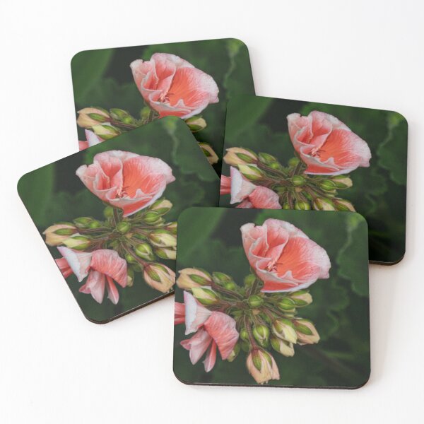 Item preview, Budding Geraniums designed and sold by Gerda Grice Photography.