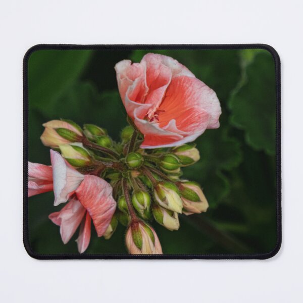 Item preview, Budding Geraniums designed and sold by Gerda Grice Photography.