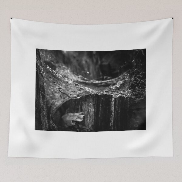 Item preview, Spider Web 3  designed and sold by nikartshop.