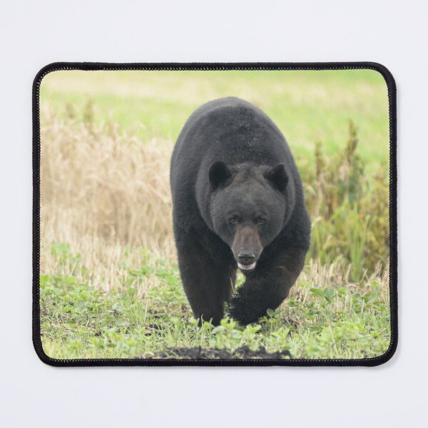 Item preview, Big Bear walking designed and sold by Jeff Ore.