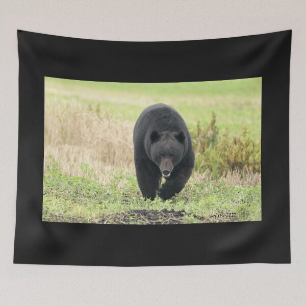 Item preview, Big Bear walking designed and sold by Jeff Ore.