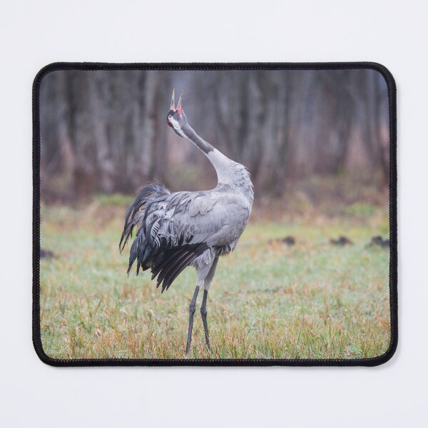Item preview, Trumpeting call designed and sold by Dominika Aniola.