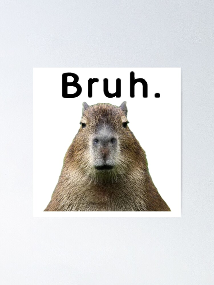 Capybara Meme Posters for Sale