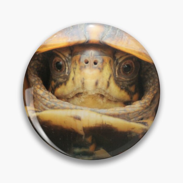 Item preview, Eastern Box Turtle designed and sold by Jeff Ore.