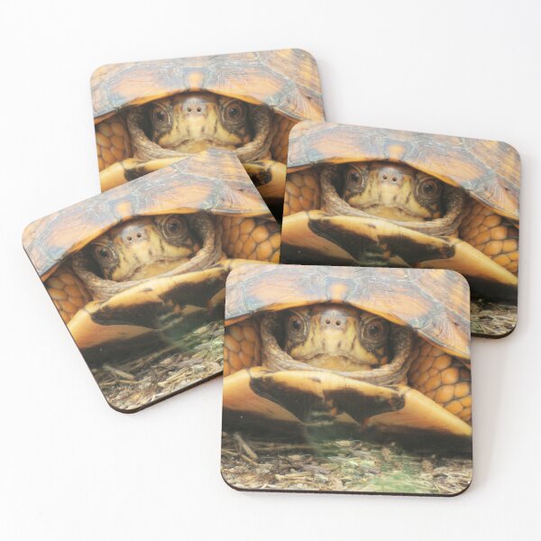 Item preview, Eastern Box Turtle designed and sold by Jeff Ore.