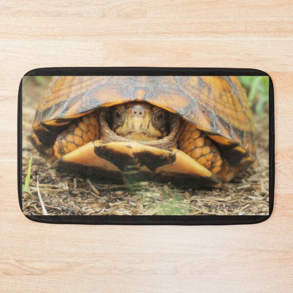 Item preview, Eastern Box Turtle designed and sold by Jeff Ore.