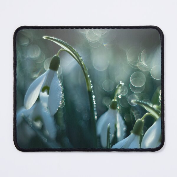 Item preview, Spring flowers designed and sold by Catrinann.