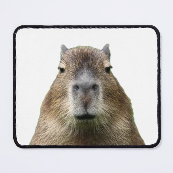 Item preview, Capybara face designed and sold by Hunter Schulz.
