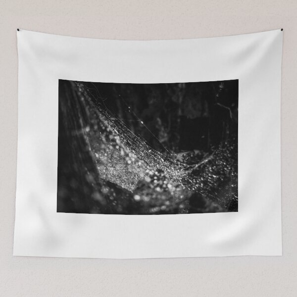 Item preview, Spider Web 7 designed and sold by nikartshop.