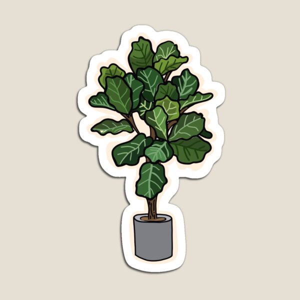 Item preview, Fiddle Leaf Plant Sticker designed and sold by sophsmaries.