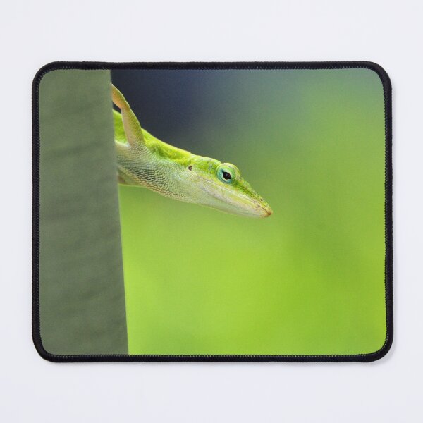 Item preview, An Green Anole on the side of a Tree designed and sold by Jeff Ore.