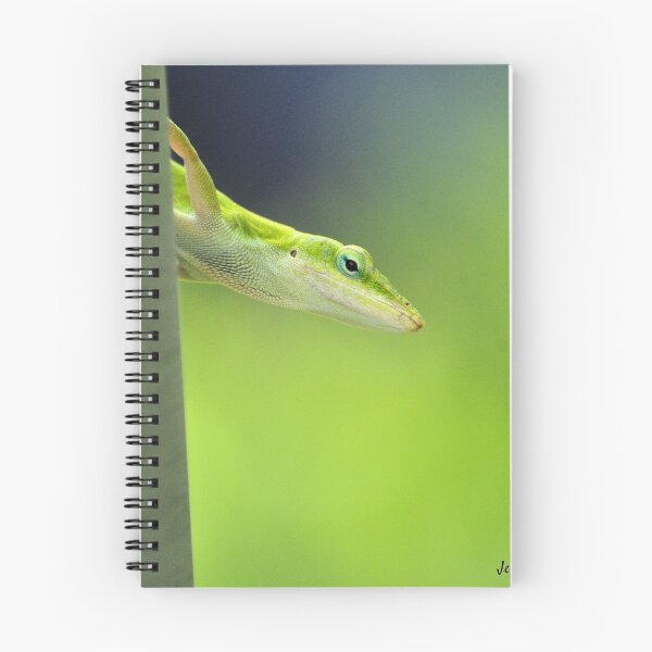 Item preview, An Green Anole on the side of a Tree designed and sold by Jeff Ore.