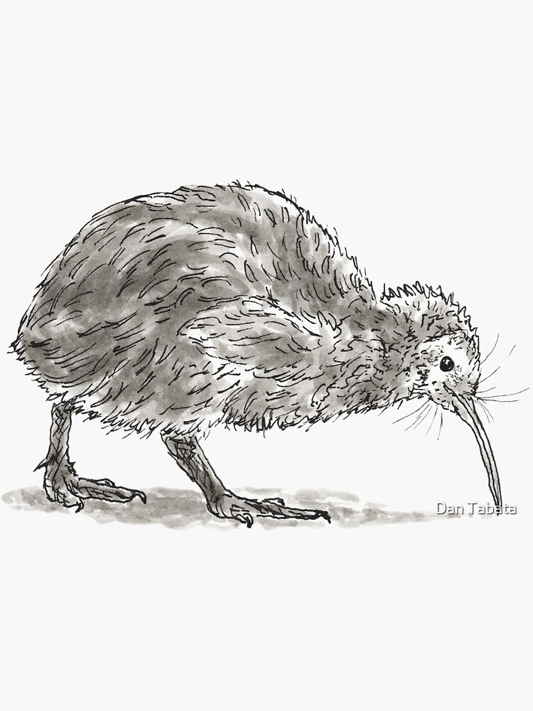 Thumbnail 3 of 3, Sticker, Kiwi Bird designed and sold by dmtab.