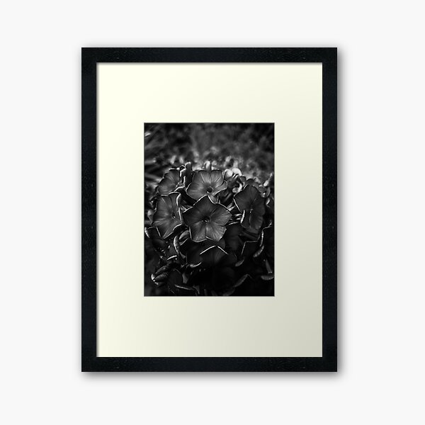 Black and White Flower Framed Art Print