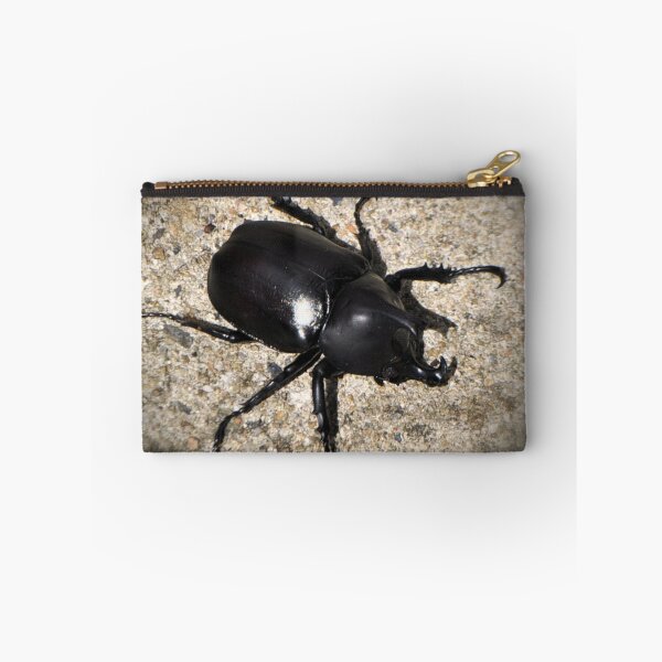 Item preview, Rhinoceros Beetle designed and sold by Margaret Stevens.