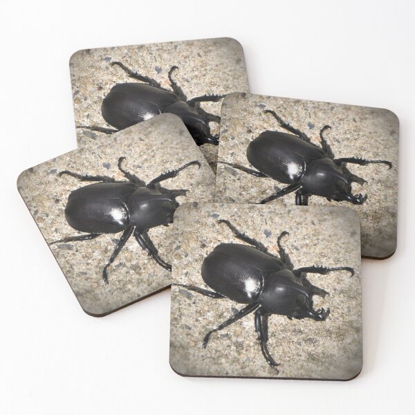 Item preview, Rhinoceros Beetle designed and sold by Margaret Stevens.
